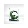 Aquarium SHRIMP SET 30 Day & Night Blanc 30L AQUAEL