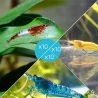 Lot de 30 Crevettes : 10 Rili Sakura Rouge + 10 Jaunes + 10 bleues